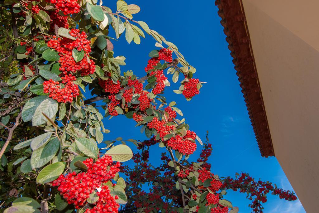 Tu Casa En Barcelona Villa Sant Cugat del Vallès Room photo